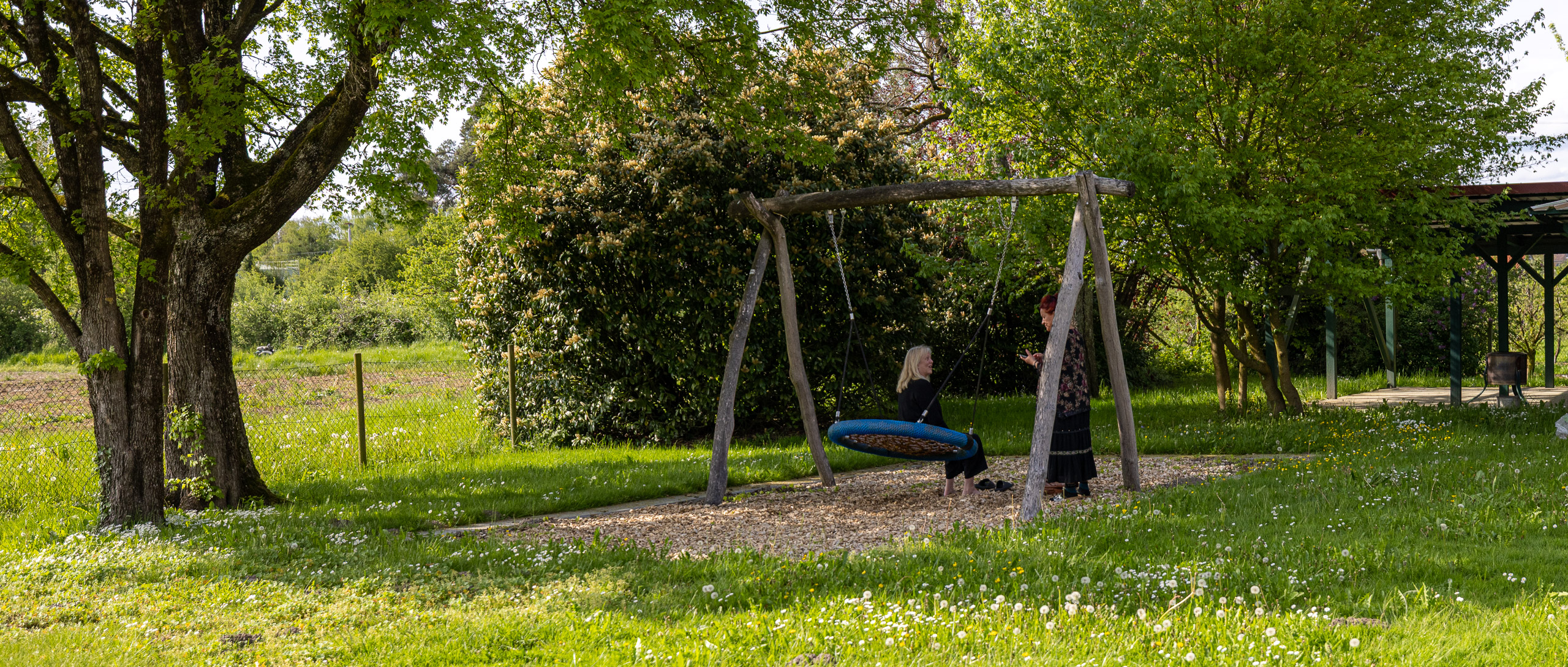 20230506165529 R5D 0779